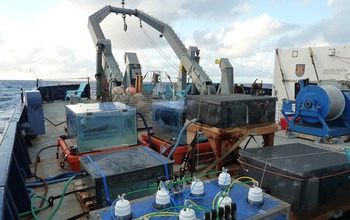 On-deck incubation experiments conducted by Sallie Chisholm's laboratory.